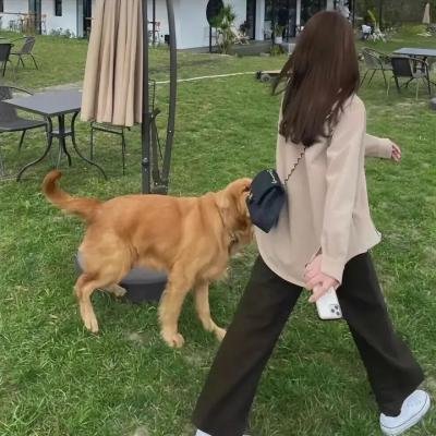 水星领航员第一季